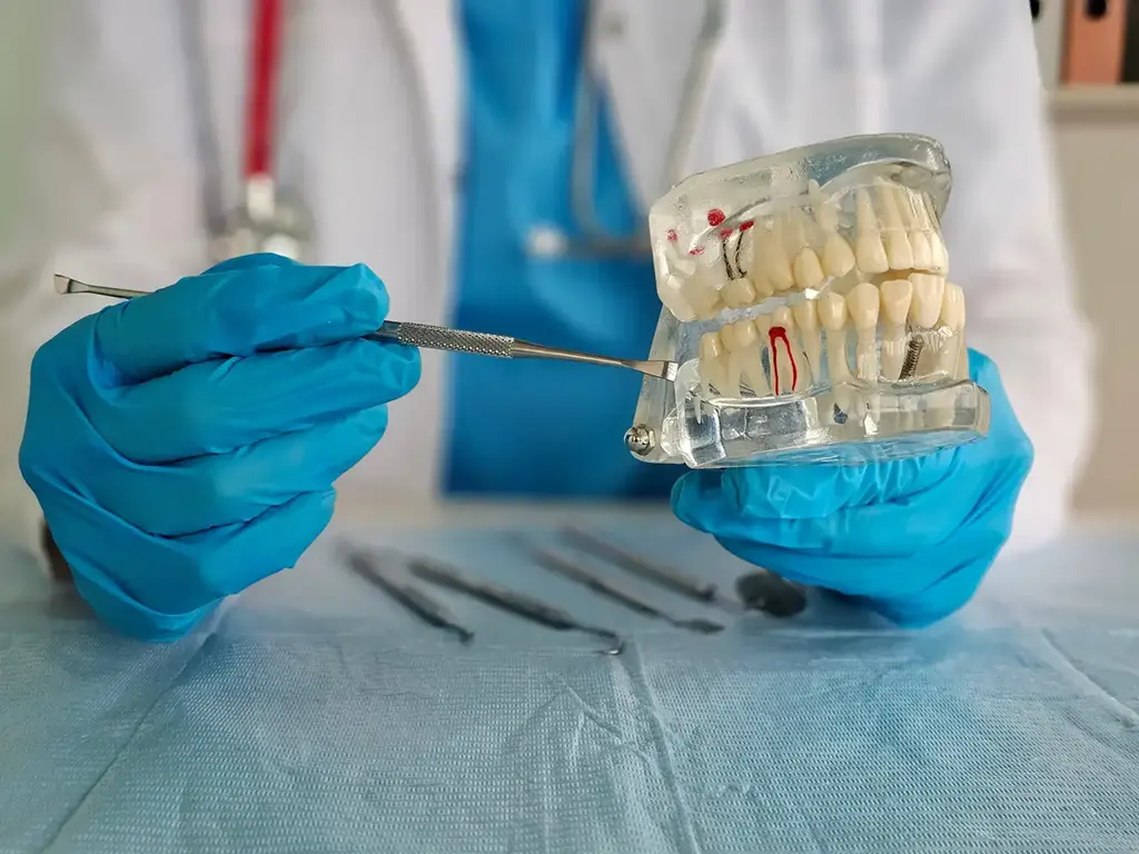 How Endodontic Treatment Relieves Tooth Pain